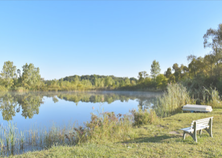 2026-01-05 - 17_41_54 - Liberty Pond Nature Area - Google Maps