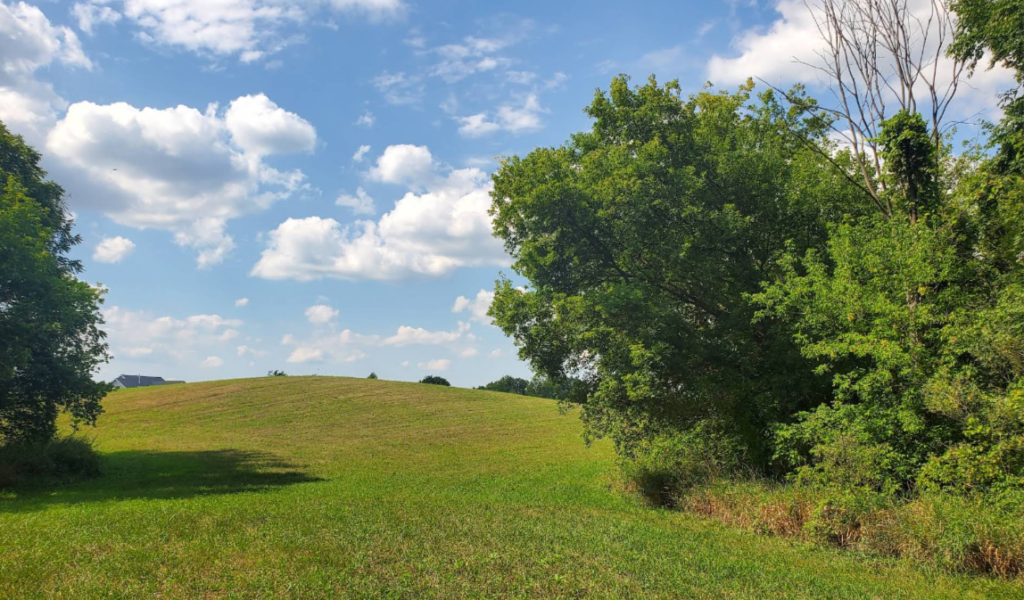 2026-01-05 - 17_48_56 - Brauer Preserve - Google Maps