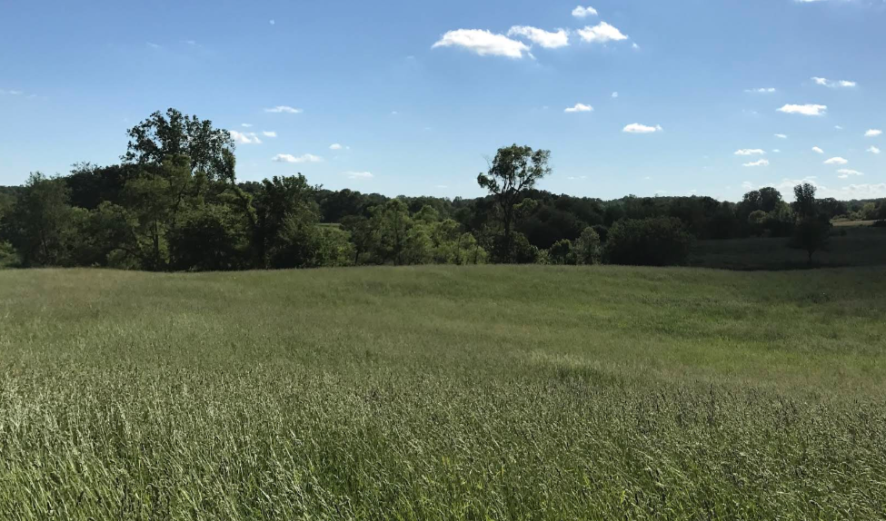 2026-01-05 - 17_49_11 - Brauer Preserve - Google Maps