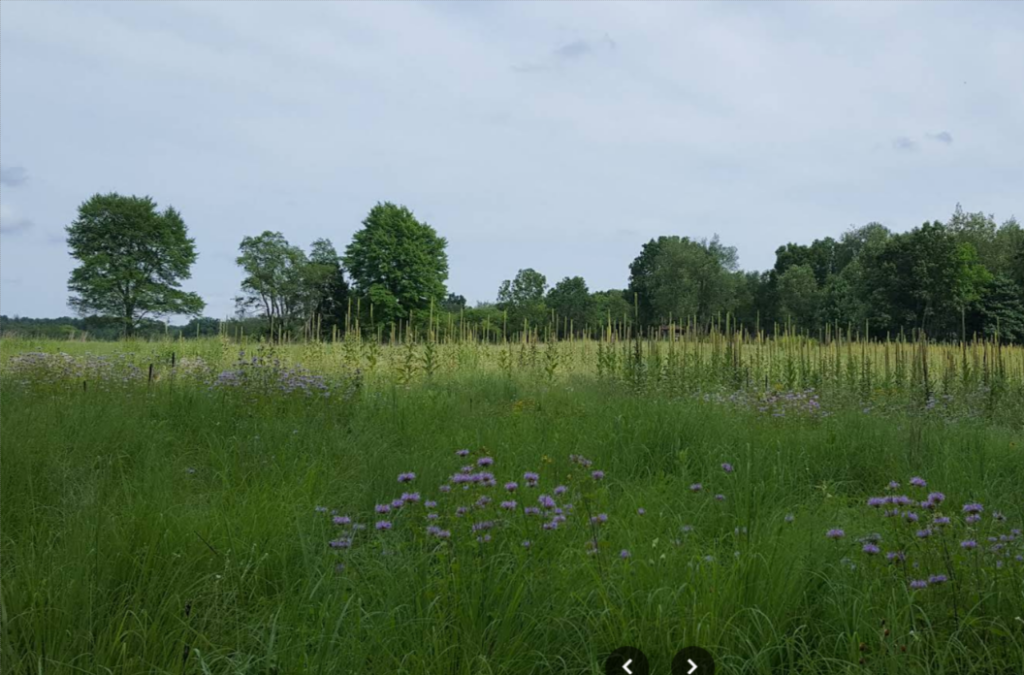 2026-01-05 - 18_11_58 - Haehnle Sanctuary - Google Maps