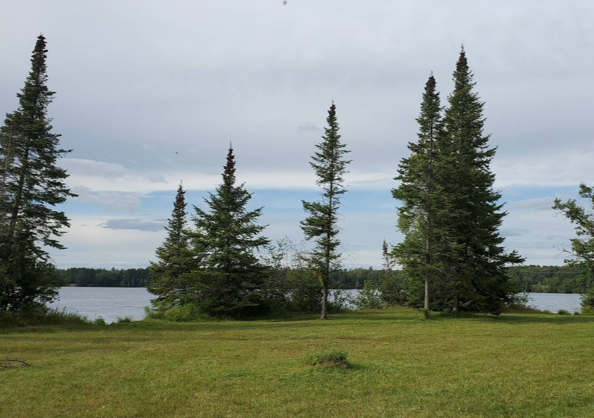 2026-01-05 - 18_19_11 - Alcona Park - Google Maps