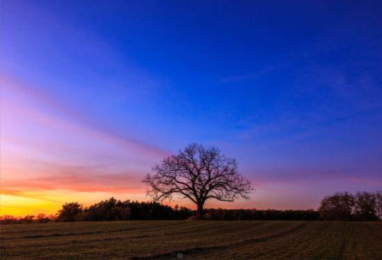 2026-01-05 - 18_32_39 - Lutz Park - Livingston County, MI