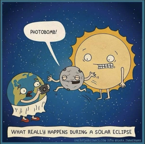 2024-Solar-Eclipse-Photobomb