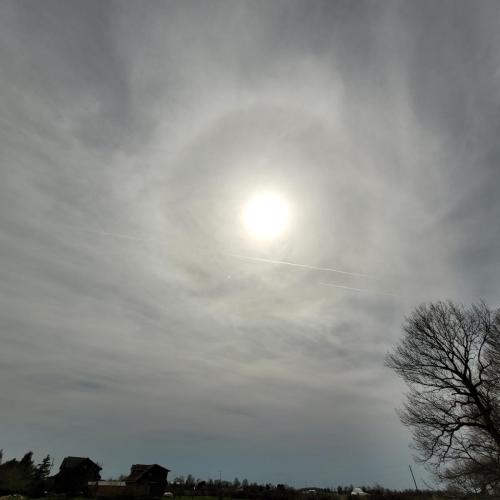 Curtice, OH: Halo effect - kopmanis - 20240408 150955