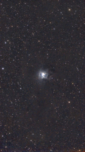 NGC 7023 - Iris Nebula - Jeff Kopmanis