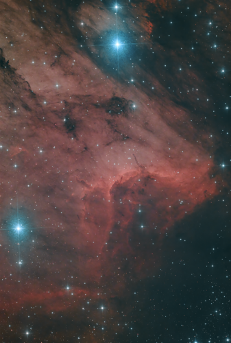 Pelican Nebula - Donovan D. - May 20, 2023