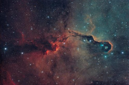 DonovanDrew-1000007226