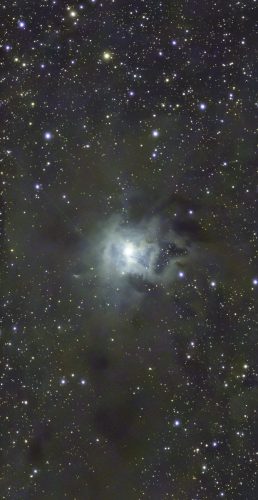 Doug-Bock-NGC-7023 590-X-20.0s IRCUT 20250525-010856-denoise