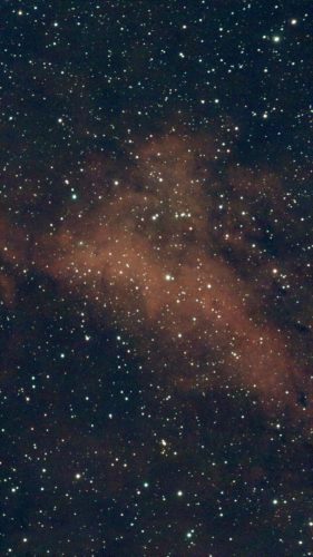 IC 1318