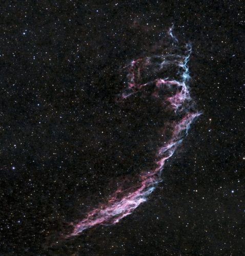 Tim Miller - Eastern-Veil-0731-0801-25-CloseCrop