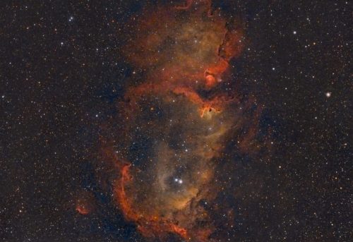 IC1848-Veralux-1.3-Stretch Tim Miller