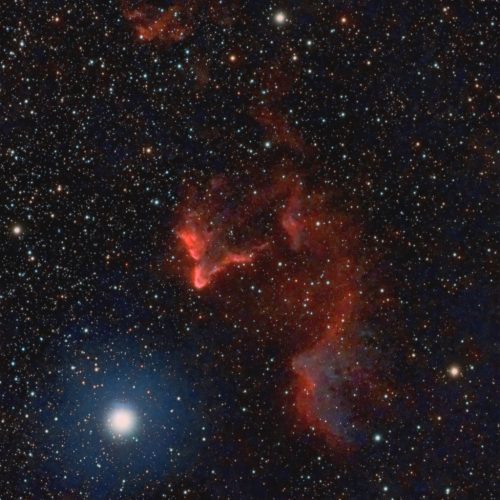 IC59-61-Gamma-Cass-Nebula-3h29m-Narrow-Crop Tim Miller