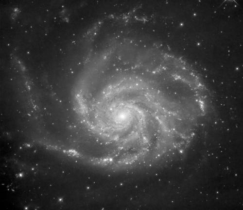 M101 - Howard Ritter - May 27, 2023 - Monochrome