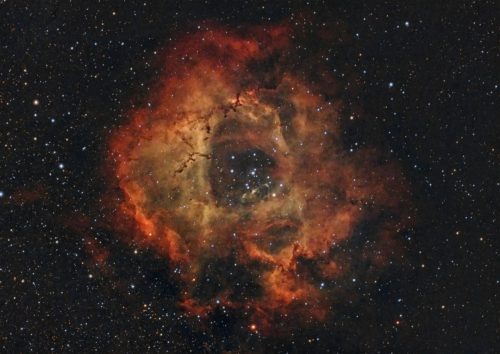 NGC-2244-Rosette-ASI294-3h12m Tim Miller