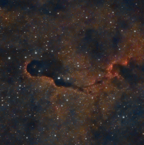 IC 1396A - Elephant Trunk - Jeff Kopmanis