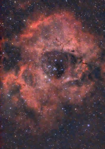 NGC 2238 66min-Siril-2026-01-17T16.58.07 Rosette Nebula - Jeff Kopmanis
