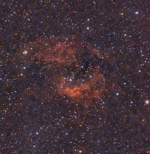 Sh2-261-LowerNb-Siril-2026-01-17T19.09.39 - Lower's Nebula -Jeff Kopmanis