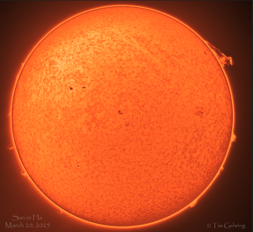 Sun-HA-TimGehring