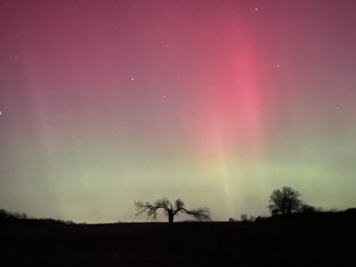 adrian-bradley-aurora-IMG 0664