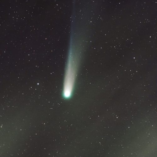 amy-cantu-comet lemmon fin