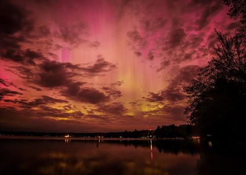 Manistee Nat'l Forest - Amy Cantu