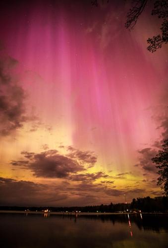 Manistee Nat'l Forest - Amy Cantu