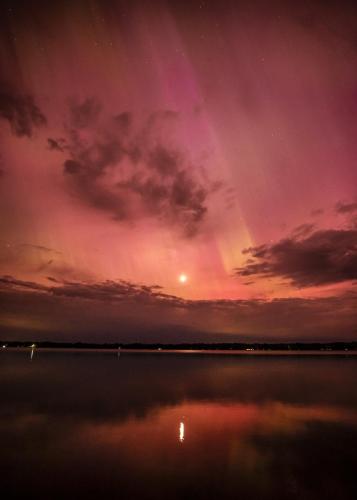 Manistee Nat'l Forest - Amy Cantu