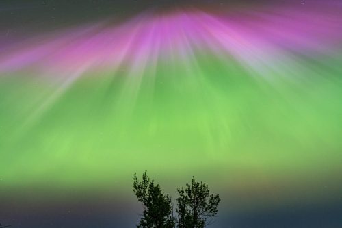 Adrian Bradley aurora-DSC06932-Edit Original