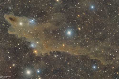 awni-hafedh LDN 1251