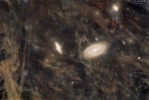 awni-m81flux