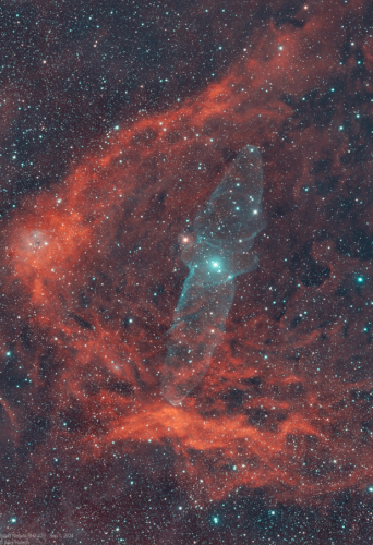 Squid Nebula - Awni Hafedh - September 1, 2024