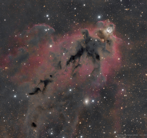 Awni Hafedh - LDN1622 - The Boogie Man Nebula