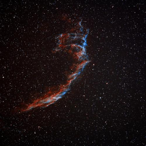 barryChapman-eastern veil nebula - Jan 7, 2025