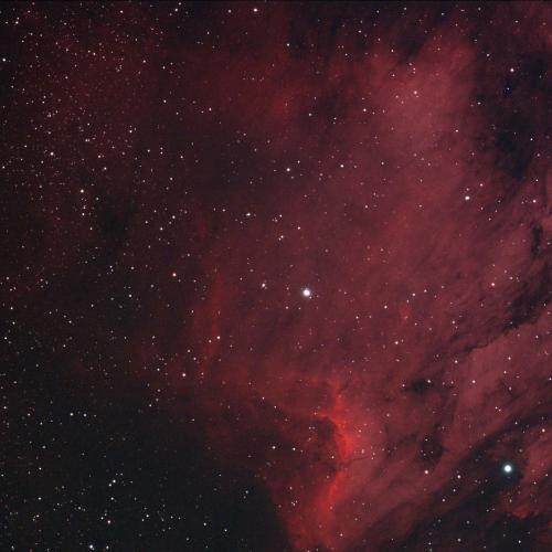 barryChapman-pelican nebula - Jan 7, 2025