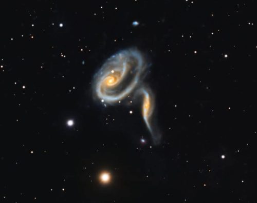 donovan-drew-arp-273-1000007736