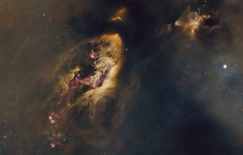 donovan-drew-final2crop