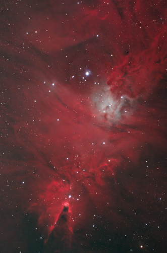 donovanDrew-cone-Neb