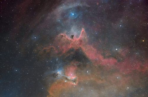 donovan drew inside-HeartNeb-1000007680