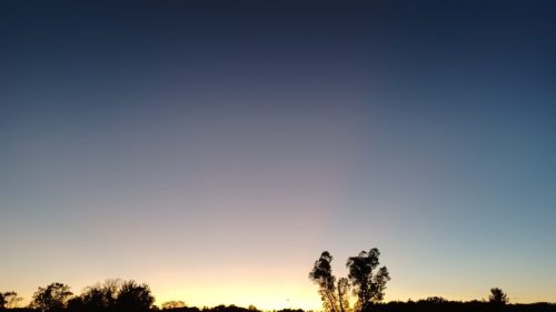 doug nelle-brauer-preserve-20251013 192054