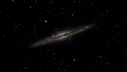 garyNichols-NGC891