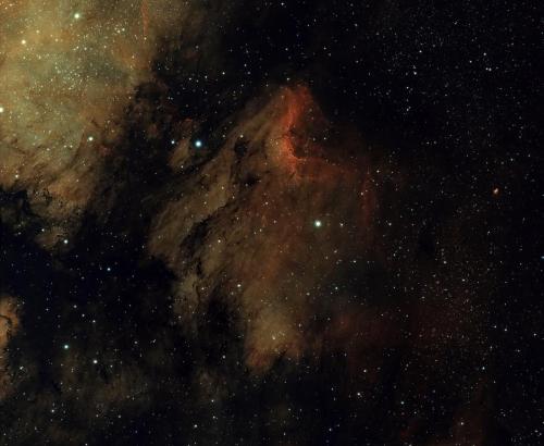 Pelican Nebula - Gary Nichols - June 27, 2024