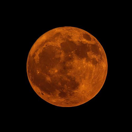 Strawberry Moon - Ginia Forrester - June 3, 2023