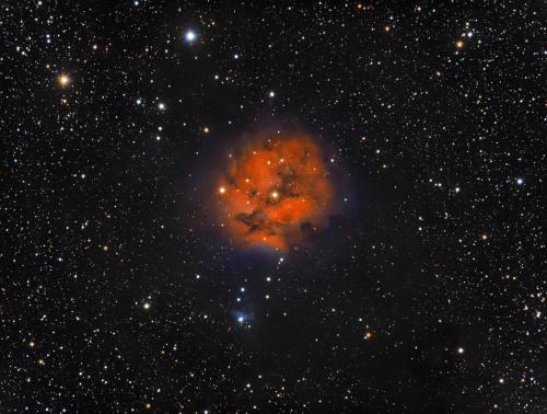 Cocoon Nebula (IC5146) - Glenn Kaatz - September 10, 2024