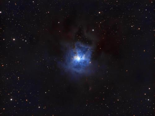 NGC 7023 (Iris Nebula) - Glenn Kaatz - October 11, 2024