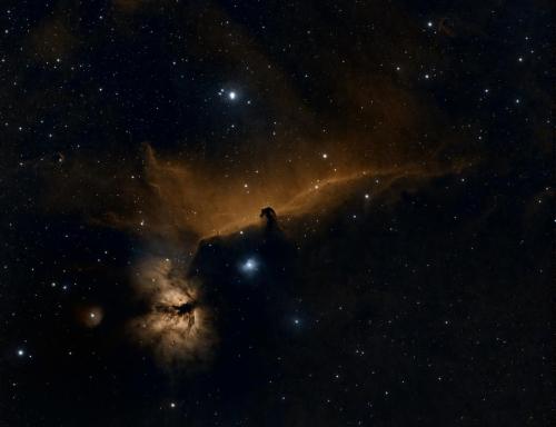 Horsehead and Flame Nebulas - Gary Nichols - February 13, 2024