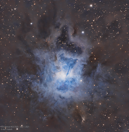 Iris Nebula NGC7023 - Awni Hafedh - reprocessed from 2021