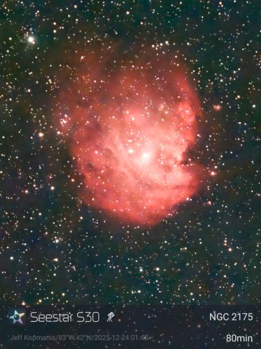 NGC 2175 - Monkey Head Nebula - Jeff Kopmanis