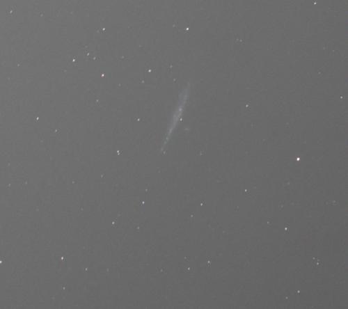 NGC4631 - Marcus Clarke - August 5, 2023