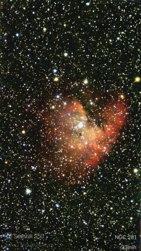 matt-west-pacman-99CB2B2E-0E1E-44A8-A0FA-4FB584198437