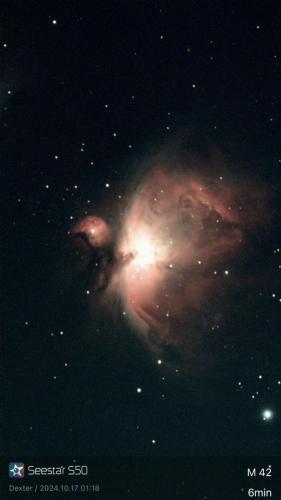 M 42 (Orion Nebula) - Matt West